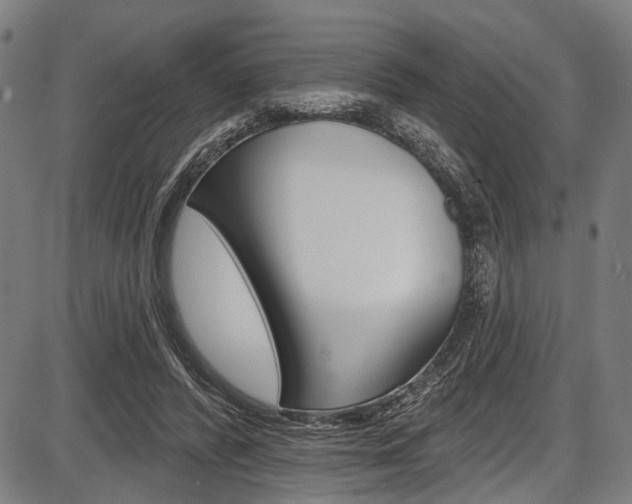 X0000087550400200704270954