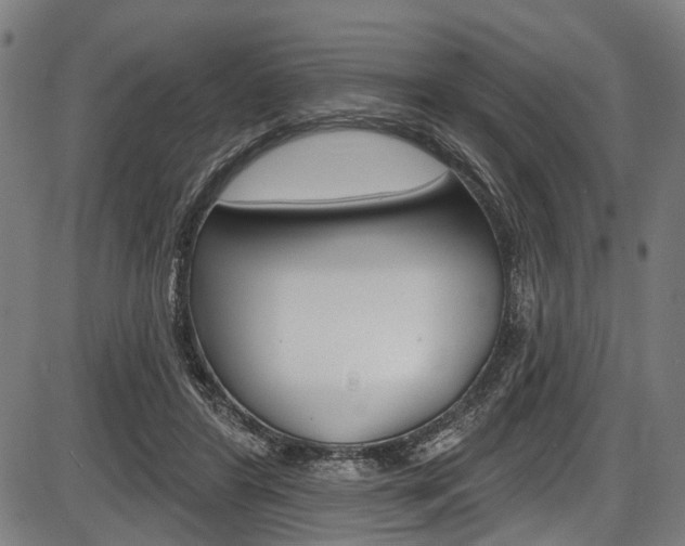 X0000087550404200704270954