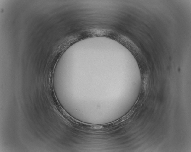 X0000087550410200704270954