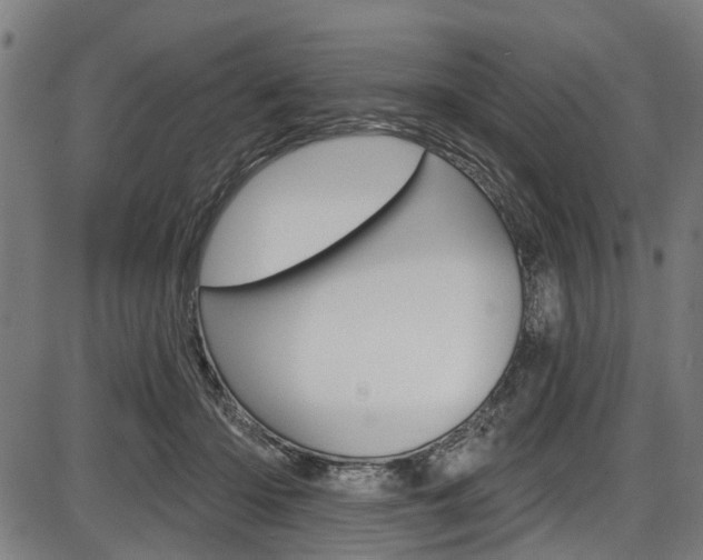 X0000087550414200704270953