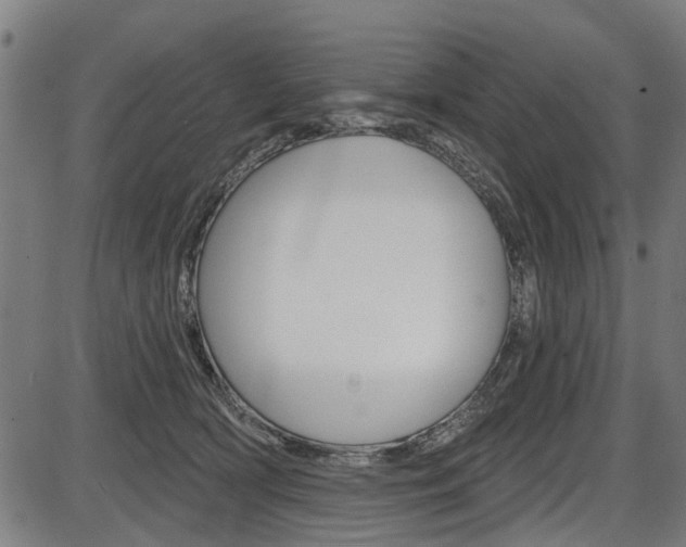X0000087550418200704270953