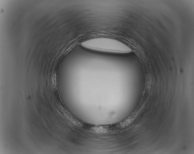 X0000087550425200704270953