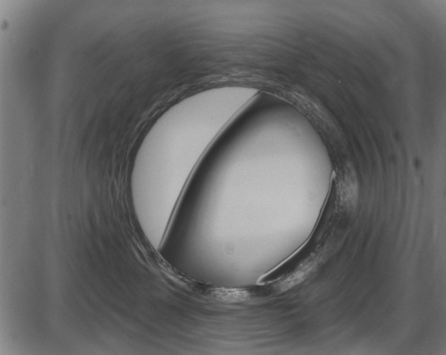 X0000087550429200704270953