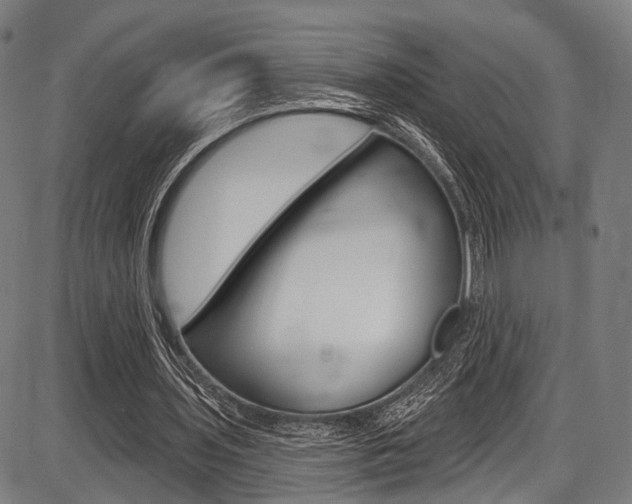 X0000087550435200704270952