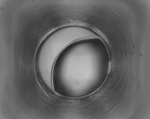 X0000087550436200704270952