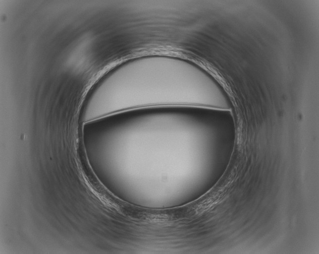 X0000087550438200704270953