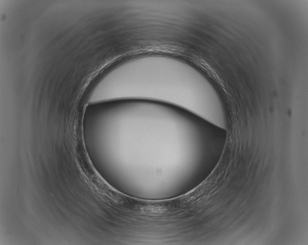 X0000087550444200704270953
