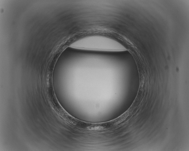 X0000087550452200704270953
