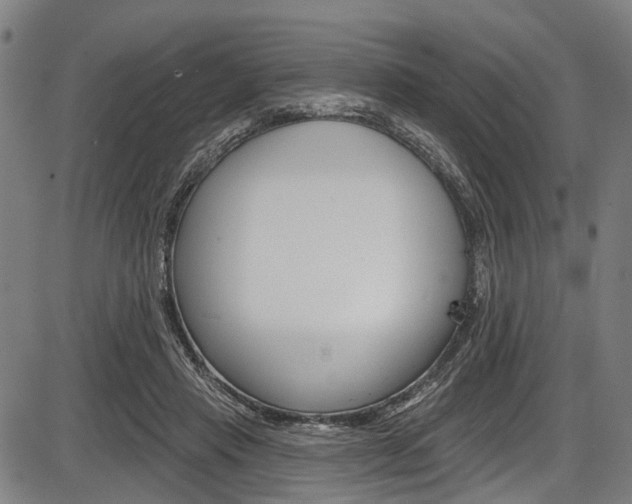 X0000087550453200704270953