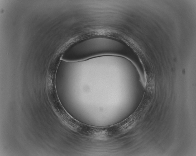 X0000087550456200704270953