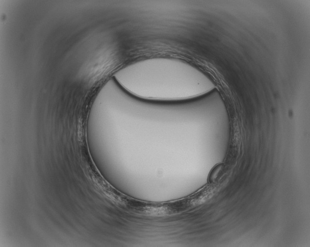 X0000087550457200704270953