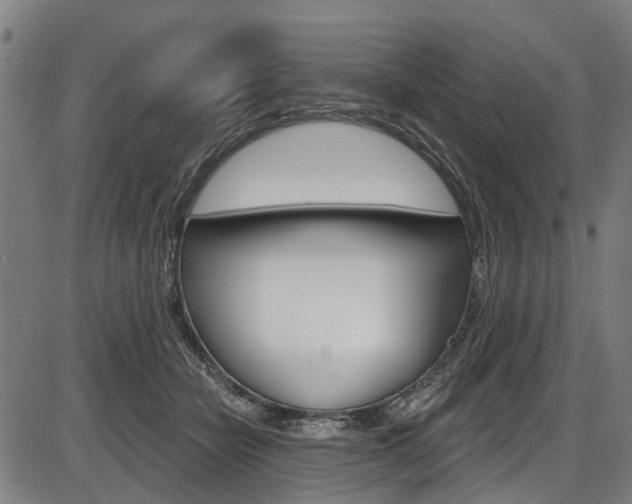 X0000087550462200704270953