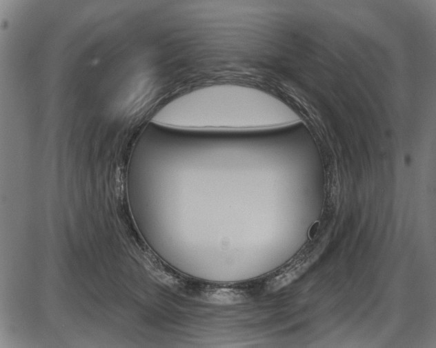 X0000087550467200704270953
