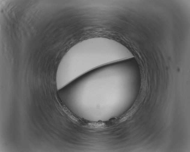 X0000087550480200704270953