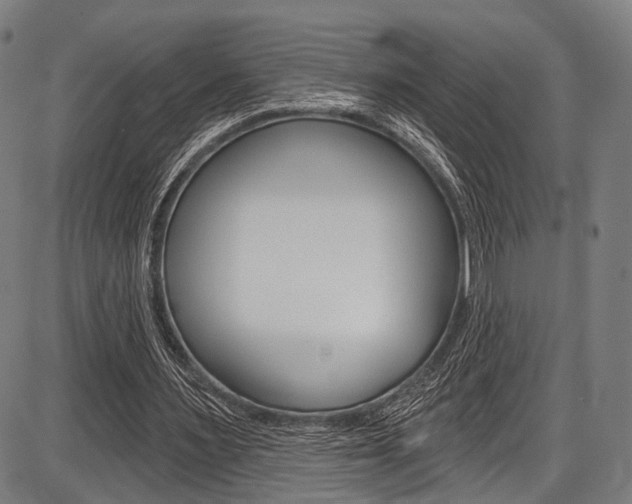 X0000087550483200704270952