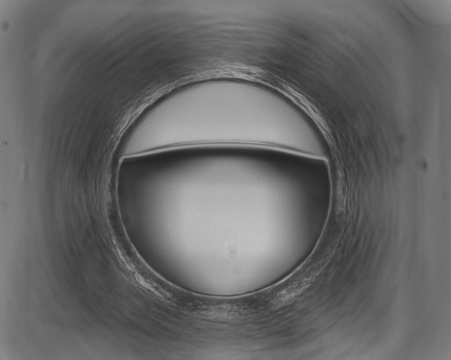 X0000087550485200704270952