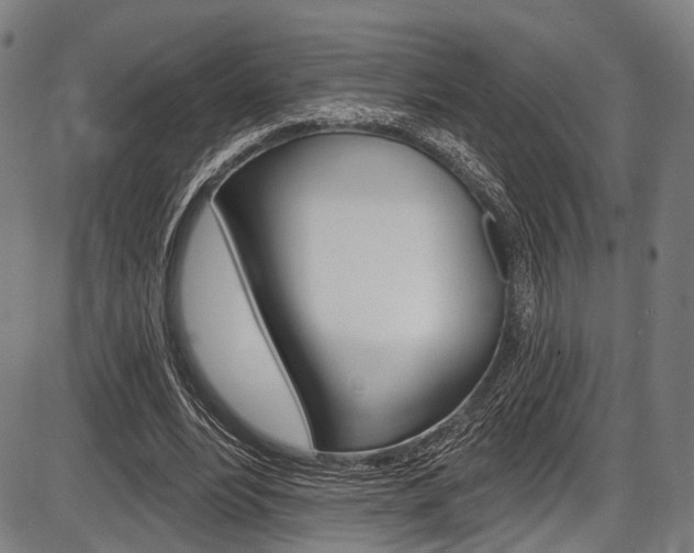 X0000087550488200704270952