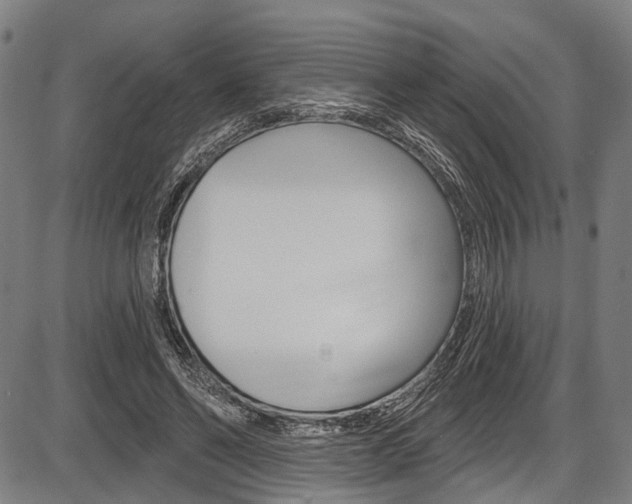 X0000087550494200704270952