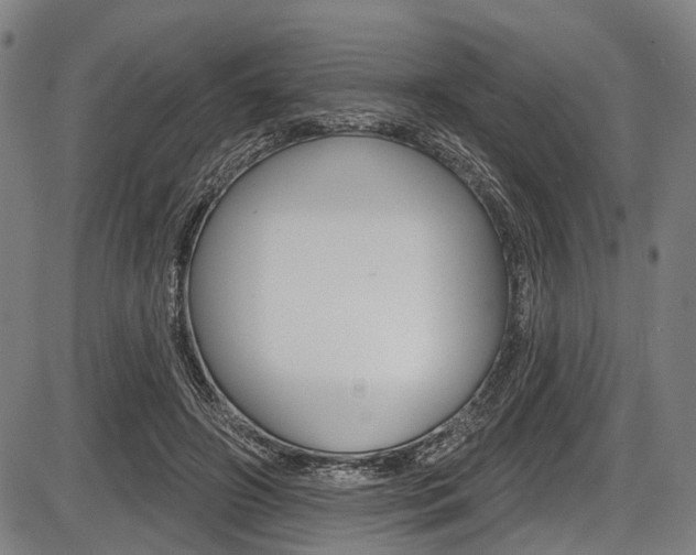 X0000087550498200704270952