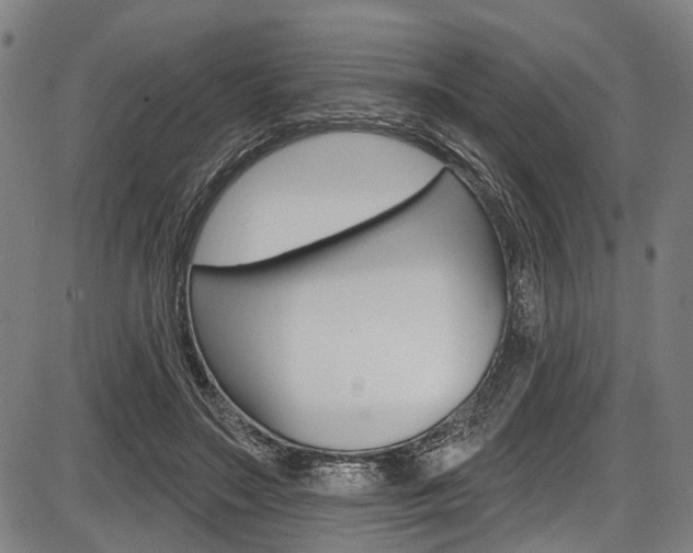 X0000087550499200704270952