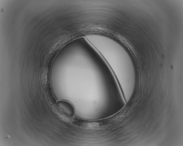 X0000087550501200704270952