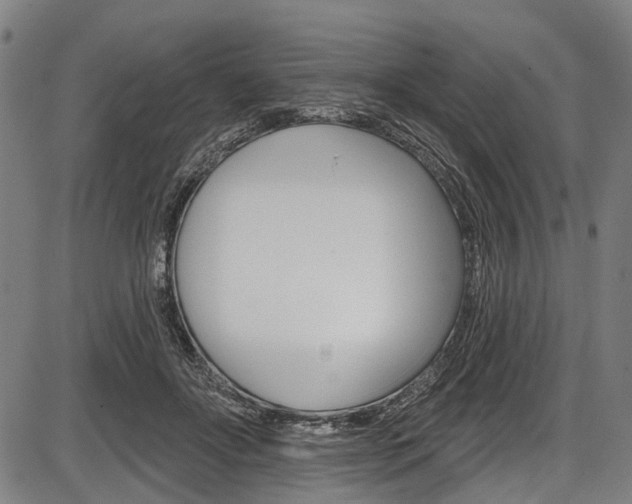 X0000087550502200704270952
