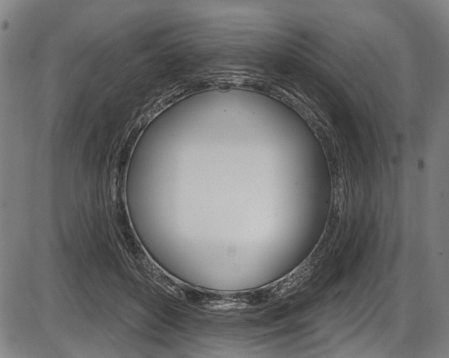 X0000087550504200704270952