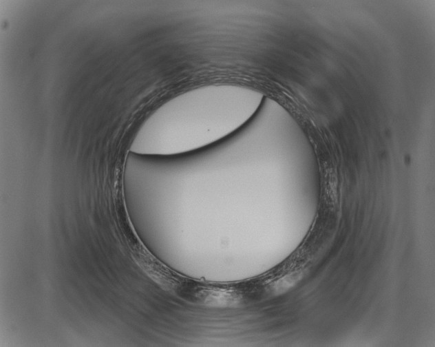 X0000087550507200704270952