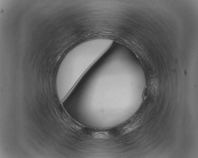 X0000087550508200704270952
