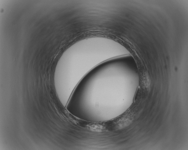X0000087550512200704270952