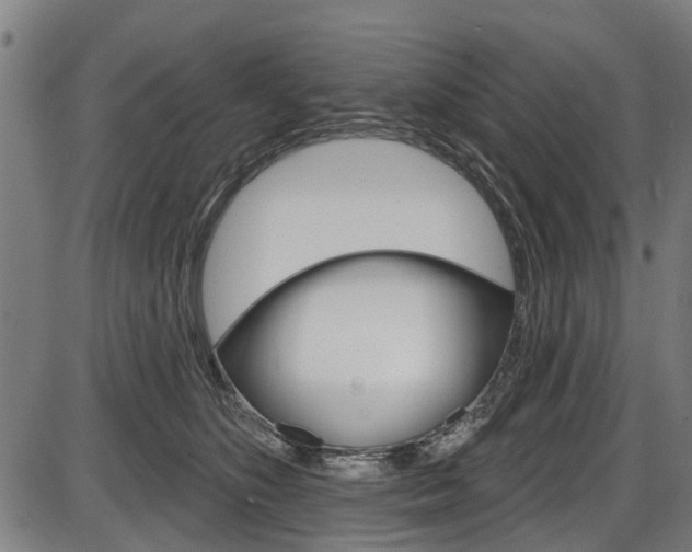 X0000087550516200704270952