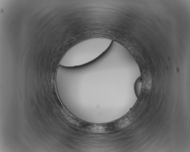 X0000087550518200704270952
