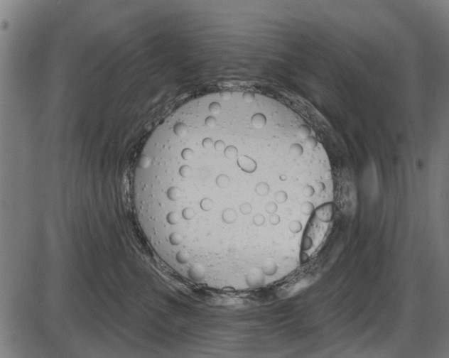 X0000087550523200704270952