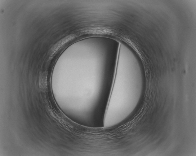 X0000087550531200704270951