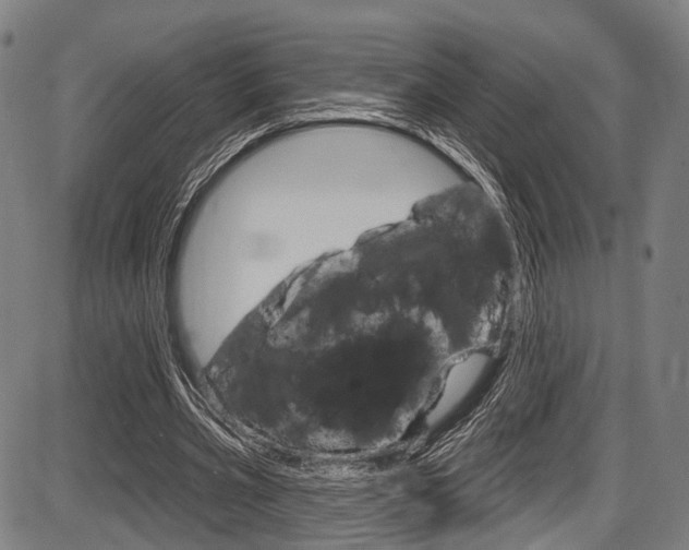 X0000087550533200704270951