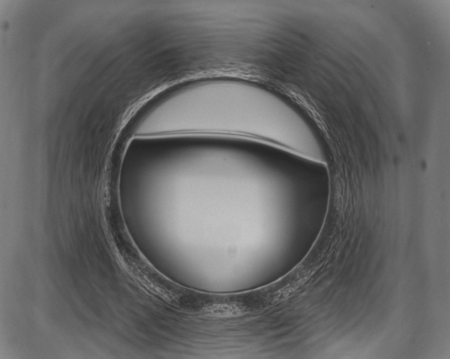X0000087550536200704270951