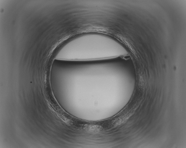 X0000087550539200704270951