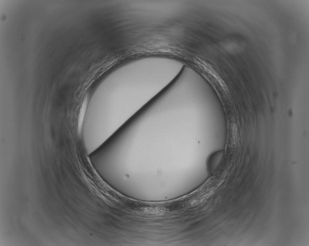 X0000087550541200704270951