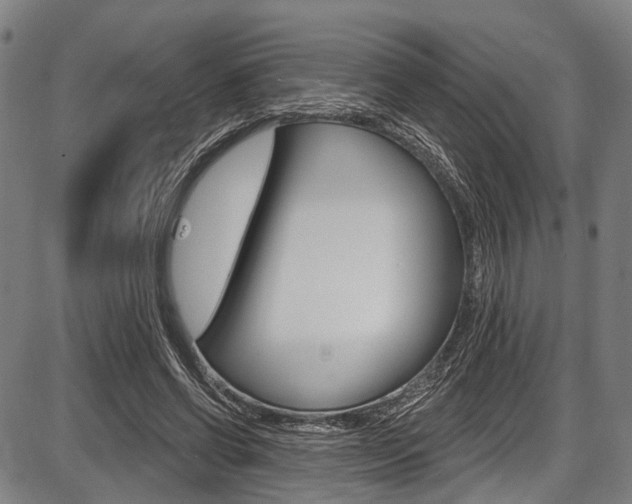 X0000087550542200704270951