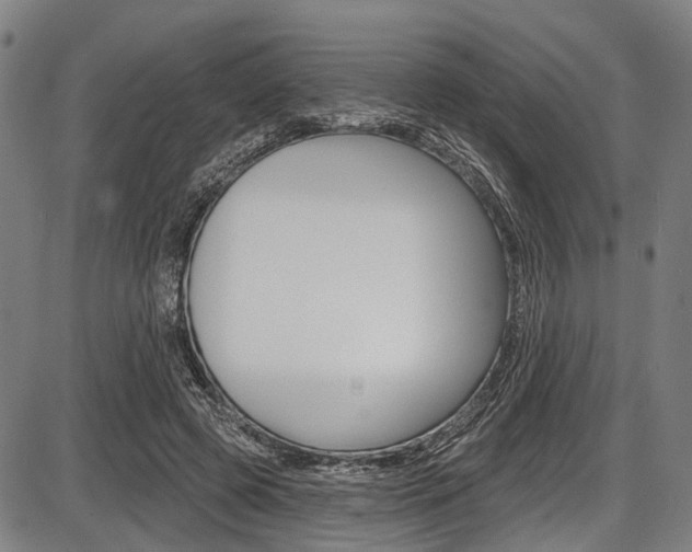X0000087550545200704270951