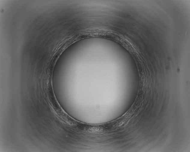 X0000087550546200704270951