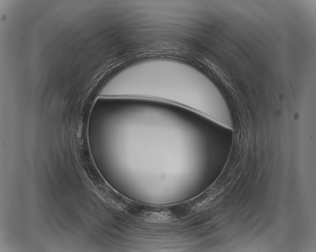 X0000087550548200704270951