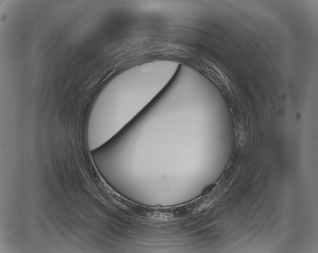 X0000087550549200704270951