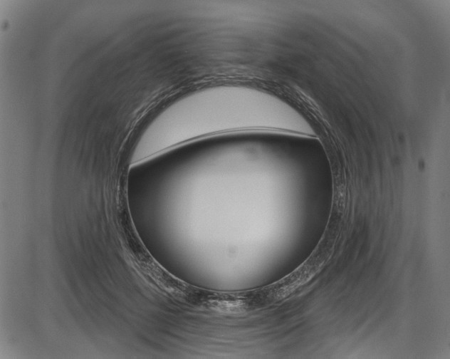 X0000087550552200704270951