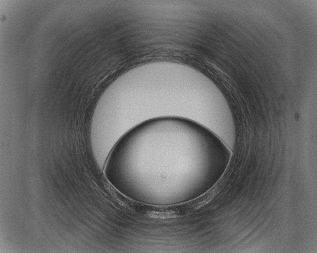X0000087550556200704270951