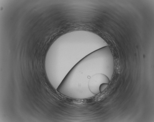 X0000087550563200704270951
