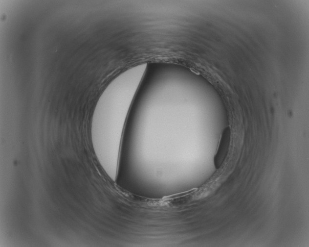 X0000087550576200704270952