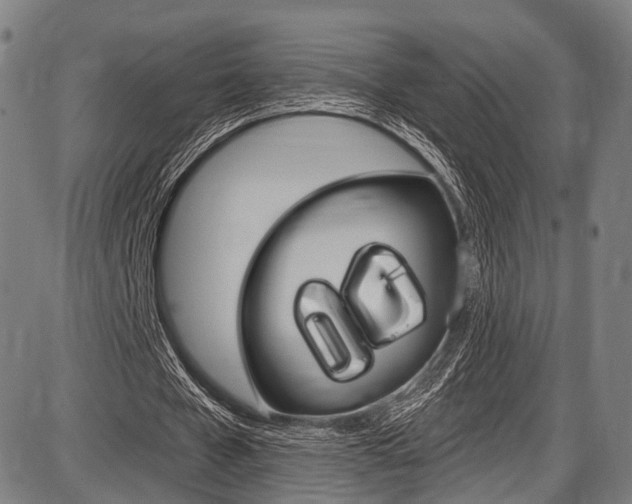 X0000087550577200704270951