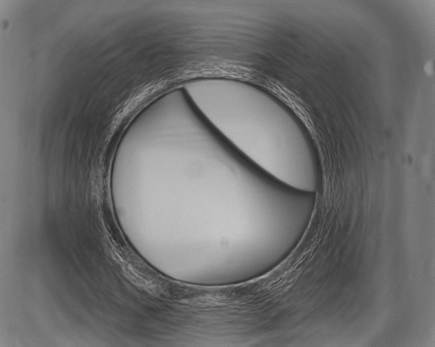 X0000087550578200704270951