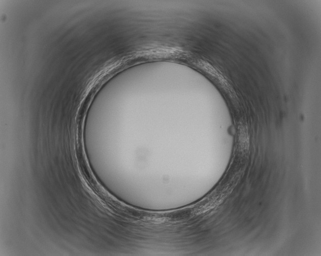 X0000087550582200704270951
